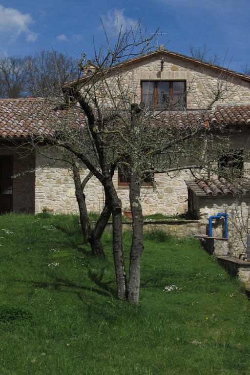 Il Vignale Guest House Massa Martana Exterior photo